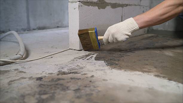 SJ Waterproofing Pros Emergency Waterproofing coverage map for Caneadea, NY and surrounding area